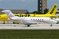 La Roche Spotters. Click to see full size photo