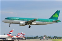 Miguel A. gueda Rguez.  (CANARY ISLANDS SPOTTING). Click to see full size photo