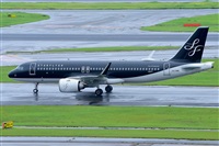 Miguel A. gueda Rguez.  (CANARY ISLANDS SPOTTING). Click to see full size photo
