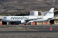 ©Alfonso Solís - Asociación Canary Islands Spotting. Click to see full size photo ©Alfonso Solís - Asociación Canary Islands Spotting. Click to see full size photo