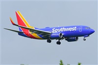 Miguel A. gueda Rguez.  (CANARY ISLANDS SPOTTING). Click to see full size photo