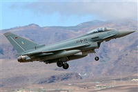 �Manuel Fernandez. Click to see full size photo