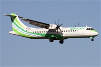 �Alfonso Sol�s - Asociaci�n Canary Islands Spotting. Click to see full size photo