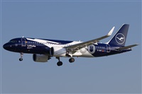 ©Jose M. Deza. Click to see full size photo ©Jose M. Deza. Click to see full size photo