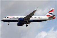 �Alfonso Sol�s - Asociaci�n Canary Islands Spotting. Click to see full size photo