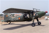 �Adolfo Bento - Gran Canaria Spotters. Click to see full size photo