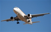 Rubn Gil - Noisy Spotters. Click to see full size photo