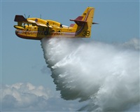 JOSE LUIS MOYA. Click to see full size photo