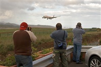 Javier de la Cruz - CANARY ISLANDS SPOTTING. Click to see full size photo