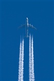 Jos Miguel Bernases - Noisy Spotters. Click to see full size photo