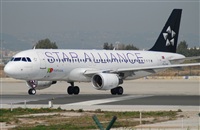 Rubn Gil - Noisy Spotters. Click to see full size photo