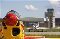 Jos Miguel Bernases - Noisy Spotters. Click to see full size photo