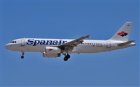 Alejandro Bethencourt (Canary Islands Spotting). Click to see full size photo