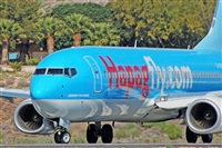 Miguel A. gueda Rguez.  (CANARY ISLANDS SPOTTING). Click to see full size photo