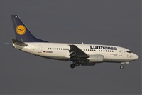 Jos Miguel Bernases - Noisy Spotters. Click to see full size photo