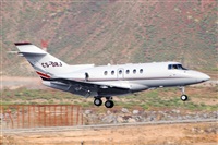 Miguel A. gueda Rguez.  (CANARY ISLANDS SPOTTING). Haz click para ampliar