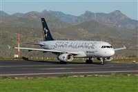Chalo Canary Islands Spotting. Click to see full size photo