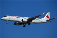 Ana L@dy Spotter. Click to see full size photo