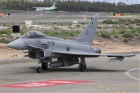 ©Alfonso Solís - Asociación Canary Islands Spotting. Click to see full size photo ©Alfonso Solís - Asociación Canary Islands Spotting. Click to see full size photo