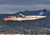 Alejandro Bethencourt (Canary Islands Spotting). Click to see full size photo
