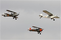 Josep Oll. Click to see full size photo