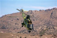 ragoval. Click to see full size photo