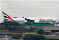 Fabio Duarte - Manaus Spotting Team. Click to see full size photo
