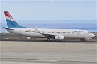 Miguel A. gueda Rguez.  (CANARY ISLANDS SPOTTING). Click to see full size photo