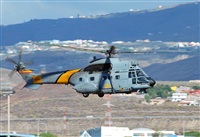 Alejandro Bethencourt (Canary Islands Spotting). Click to see full size photo