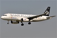 LEBL Spotter. Click to see full size photo