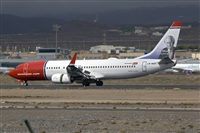 Javier de la Cruz - CANARY ISLANDS SPOTTING. Click to see full size photo