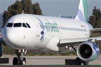 Miguel Alia - Noisy Spotters. Click to see full size photo