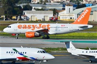 ©Salvador de la Rubia ( Marbella Spotters ). Click to see full size photo ©Salvador de la Rubia ( Marbella Spotters ). Click to see full size photo