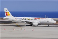Miguel A. gueda Rguez.  (CANARY ISLANDS SPOTTING). Click to see full size photo