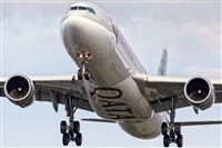 Javier de la Cruz - CANARY ISLANDS SPOTTING. Click to see full size photo