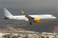 ©Adolfo Bento - Gran Canaria Spotters. Click to see full size photo ©Adolfo Bento - Gran Canaria Spotters. Click to see full size photo