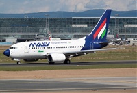 Miguel Alia - Noisy Spotters. Click to see full size photo