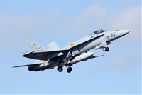 Paco Muoz Arencibia - Gran Canaria Spotters. Click to see full size photo
