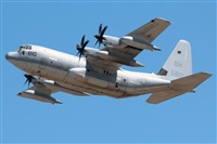 ©Bartolomé Fernández - Gran Canaria Spotters. Click to see full size photo ©Bartolomé Fernández - Gran Canaria Spotters. Click to see full size photo