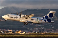 Javier de la Cruz - CANARY ISLANDS SPOTTING. Click to see full size photo