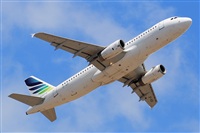 Miguel A. gueda Rguez.  (CANARY ISLANDS SPOTTING). Click to see full size photo