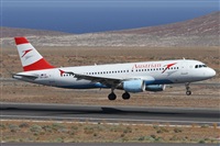 Alfonso Sols - Asociacin Canary Islands Spotting. Click to see full size photo