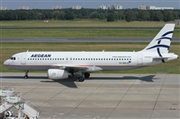 ©Alfonso Solís - Asociación Canary Islands Spotting. Click to see full size photo ©Alfonso Solís - Asociación Canary Islands Spotting. Click to see full size photo