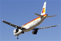 Paco Muoz Arencibia - Gran Canaria Spotters. Click to see full size photo