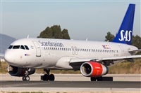 Miguel Alia - Noisy Spotters. Click to see full size photo