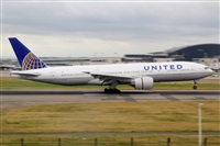 Miguel A. gueda Rguez.  (CANARY ISLANDS SPOTTING). Click to see full size photo