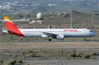 Miguel A. gueda Rguez.  (CANARY ISLANDS SPOTTING). Click to see full size photo