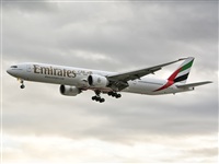 Naoto Goto - South American Spotters Asu-Py. Click to see full size photo