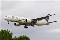 Miguel A. gueda Rguez.  (CANARY ISLANDS SPOTTING). Click to see full size photo