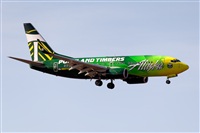 Javier de la Cruz - CANARY ISLANDS SPOTTING. Click to see full size photo